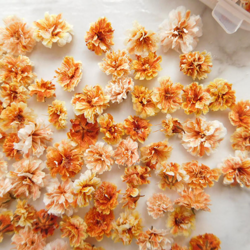 選べる！ 三色かすみ草ドライフラワー その他素材 ababko 通販