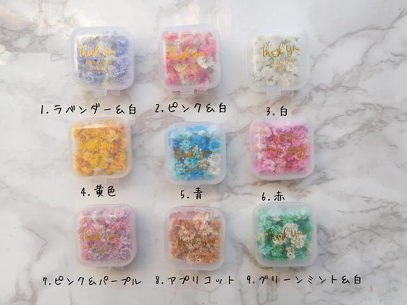 選べる！ 三色かすみ草ドライフラワー その他素材 ababko 通販