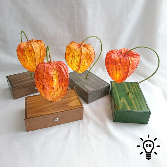 ほおずきのシンプルランプ スタンドライト・テーブルランプ Darwin