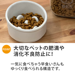 【送料無料】名前と数字が入る 早食い防止 Bamboo カラーフードボウル 全10色 pet129 3枚目の画像