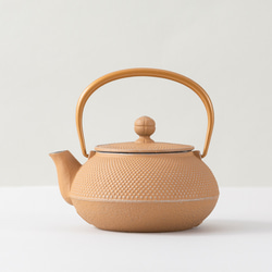 【南部鉄器】昭和レトロ貯金箱　郵便ポスト型　岩鋳鋳造所　iwachu Amazon.co.jp: 岩鋳(Iwachu) ポスト型貯金箱 赤 本体サイズ(cm):Φ9×H23