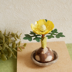 67c2ad8fb2cb47ad0f3f682beeaa91