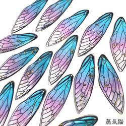 銀貨】庭猫 フィジー 2022年 1オンス シルバーコイン カラー版【純銀