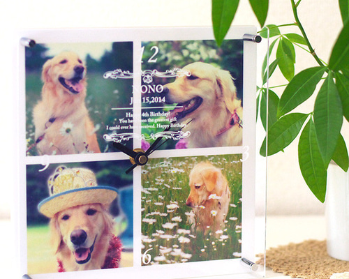 3fb044d08f473ad1f65df85e96caa9