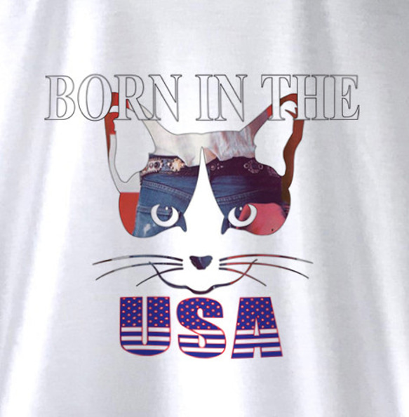 BONE IN THE USA 2枚目の画像