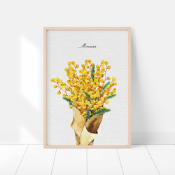 ミモザのポスター　/ i1127 / 黄色くかわいい春のミモザ　ボタニカル　アートポスター 13枚目の画像