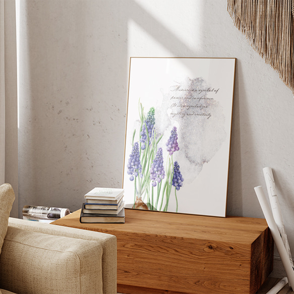 ムスカリのポスター / i1145 /  冬から春の球根の花　ボタニカル　インテリアポスター 7枚目の画像
