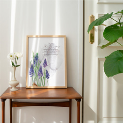 ムスカリのポスター / i1145 /  冬から春の球根の花　ボタニカル　インテリアポスター 6枚目の画像