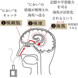  第15張的照片