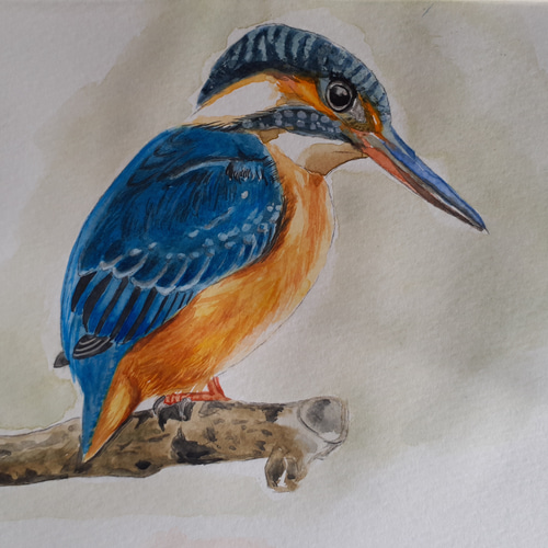 絵画　水彩画　額装品　動物画 水彩画 金魚 絵画 makochin 通販 15901426｜Creema(クリーマ)