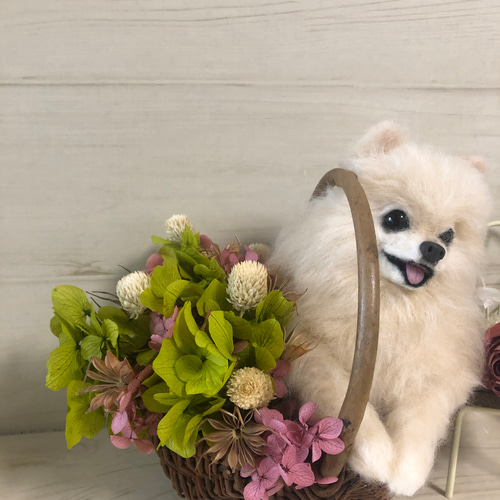 羊毛 にこにこポメラニアンのフラワーバスケット