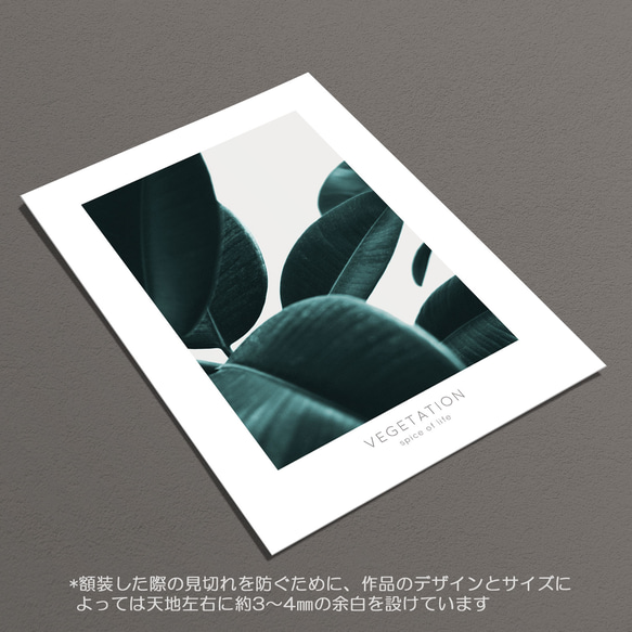 ☆インテリアフォトポスター -VEGETATION-【351】 6枚目の画像