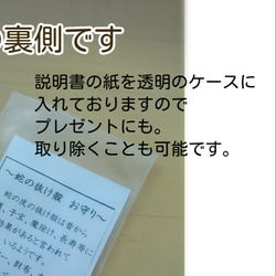 ◼蛇の抜け殻■ 白蛇皮 お守り■シンプル■ 2枚目の画像