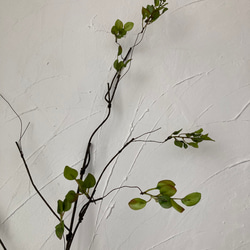 [送料込み] グリーン葉っぱ　フェイクグリーン　枯枝　造花　光触媒　人工植物　107cm 2本 5枚目の画像