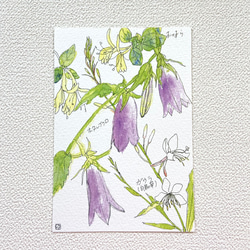５月の草花ポストカード 2枚目の画像