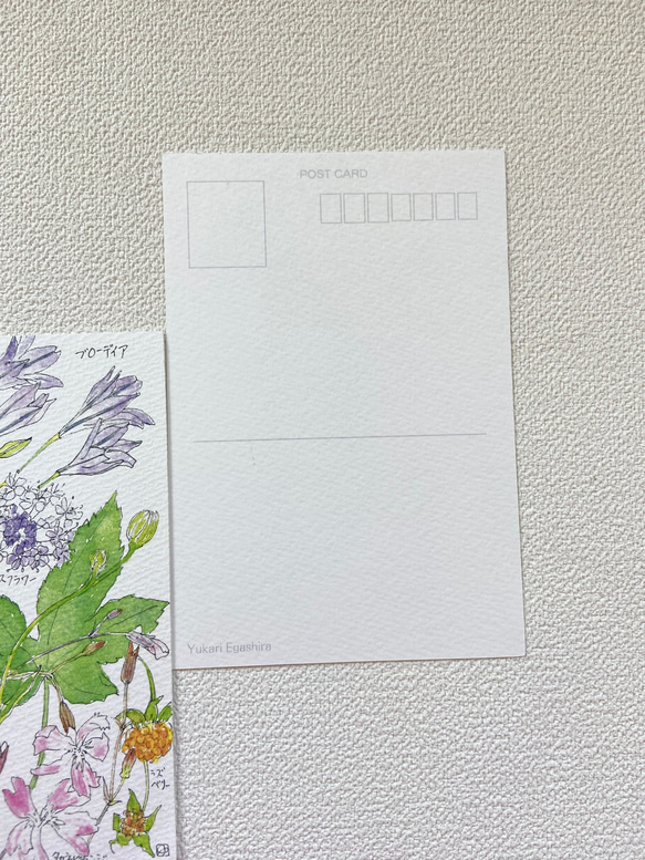 ５月の草花ポストカード 4枚目の画像