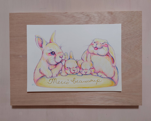 うさぎページ けなおさん専用 です ネザーランドドワーフ（うさぎ）リンクス 植毛