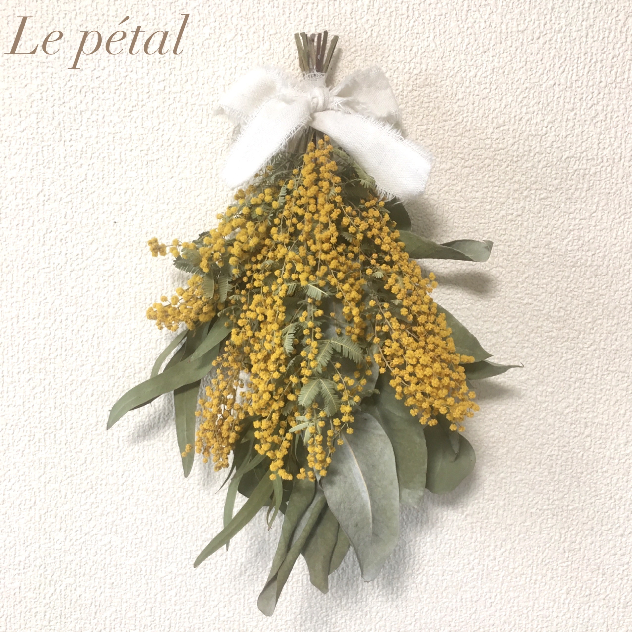Saleミモザ＆ユーカリ＊ドライフラワースワッグ ドライフラワー