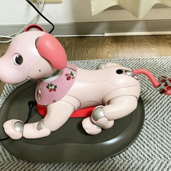 【いちご】aibo　尻尾飾り　畳縁　苺　ストロベリー　リボン 12枚目の画像