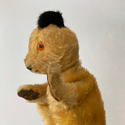 アンティークスーティーベアのpuppet パペット The Sooty Show 北欧暮らしの道具 テディベア　 8枚目の画像