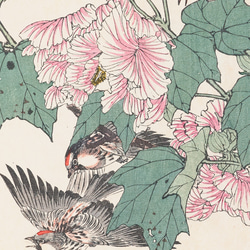 【NO.387】シクラメンの花と野鳥の花鳥図日本画アートポスター浮世絵和室インテリア和柄大正ロマン★A3A2A1B5B4 3枚目の画像