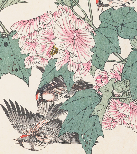 【NO.387】シクラメンの花と野鳥の花鳥図日本画アートポスター浮世絵和室インテリア和柄大正ロマン★A3A2A1B5B4 3枚目の画像