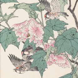 【NO.387】シクラメンの花と野鳥の花鳥図日本画アートポスター浮世絵和室インテリア和柄大正ロマン★A3A2A1B5B4 2枚目の画像