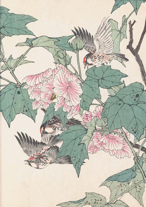 【NO.387】シクラメンの花と野鳥の花鳥図日本画アートポスター浮世絵和室インテリア和柄大正ロマン★A3A2A1B5B4 2枚目の画像