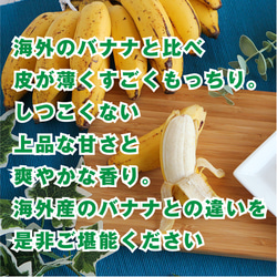 訳あり！たっぷりコクあま島バナナ｜国産 無添加 砂糖不使用 油であげてない ドライフルーツ ドライバナナ 島バナナ 5枚目の画像