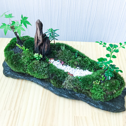 苔盆景(苔島雲南高原山脈) 12枚目の画像