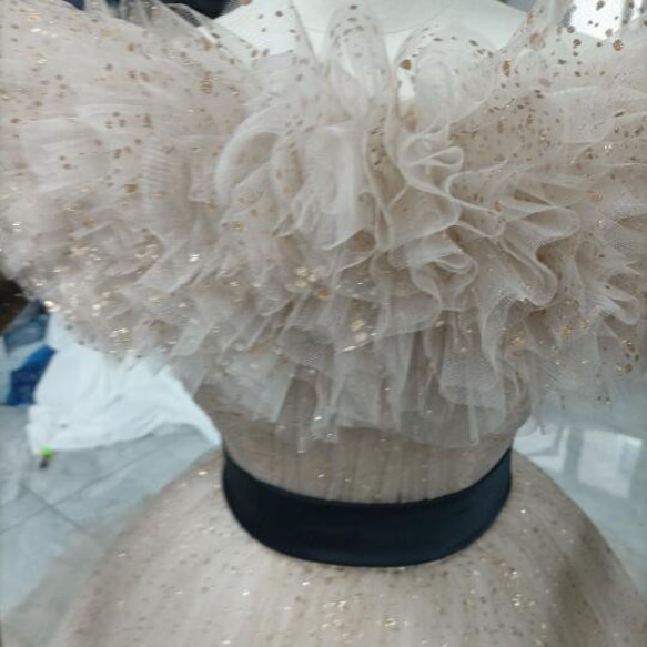 カラードレスシャンパン色 ソフトチュール ロングトレーン 取り外しオフショルダー 結婚式/披露宴 二次会 レース、糸 T1944508438(14995円)