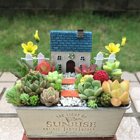 ☆送料無料☆♡そのまま飾れる♡ヨーロピアンガーデン♬多肉植物