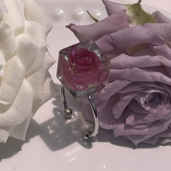 本物の薔薇の指輪/レジンフラワーアクセサリー/キューブ型/フリーサイズ 2枚目の画像