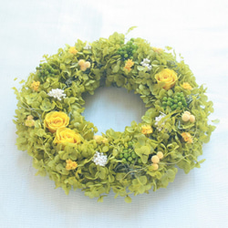明るいグリーンのアナベルとミモザイエローの小花いっぱいのナチュラルリース　春色新作2023　ウェルカムリースに　W044 5枚目の画像