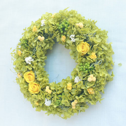 明るいグリーンのアナベルとミモザイエローの小花いっぱいのナチュラルリース　春色新作2023　ウェルカムリースに　W044 3枚目の画像
