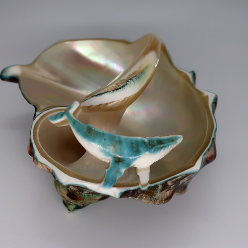 夜光貝小物入れ(ザトウクジラ付き) その他ケース カイカイ 通販