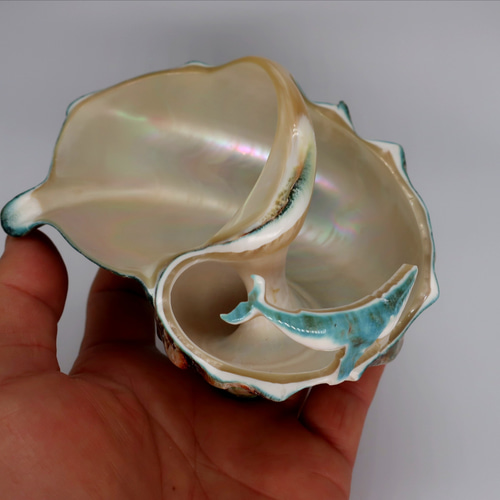 夜光貝　インテリア　ライト　小物 夜光貝小物入れ(ザトウクジラ付き) その他ケース カイカイ 通販