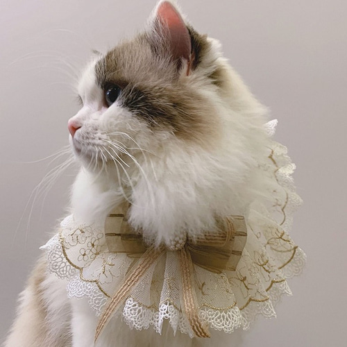 2色☆猫首輪☆蝶々 金色のリボン/蝶結び☆かわいいレース付け襟首輪