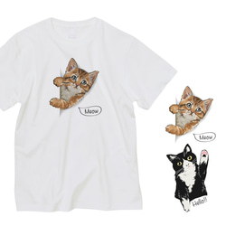 [名入れOK]大人サイズ ネコのTシャツ お名前 茶トラ ハチワレ 猫 プレゼント 半袖 _T040 1枚目の画像