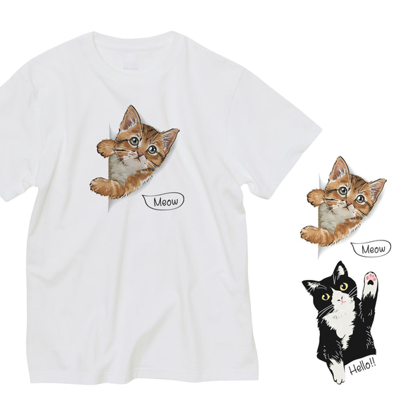 [名入れOK]大人サイズ ネコのTシャツ お名前 茶トラ ハチワレ 猫 プレゼント 半袖 _T040 1枚目の画像