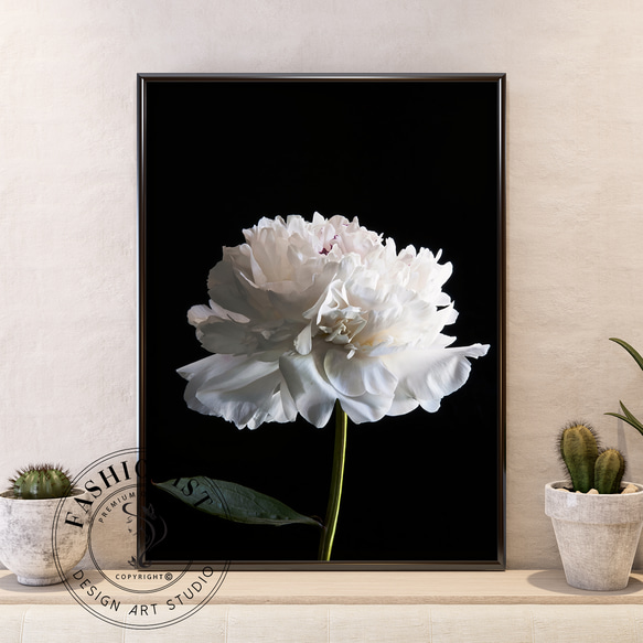 インテリアアートプリント 白い芍薬が際立つモダンなフラワーデザイン  
