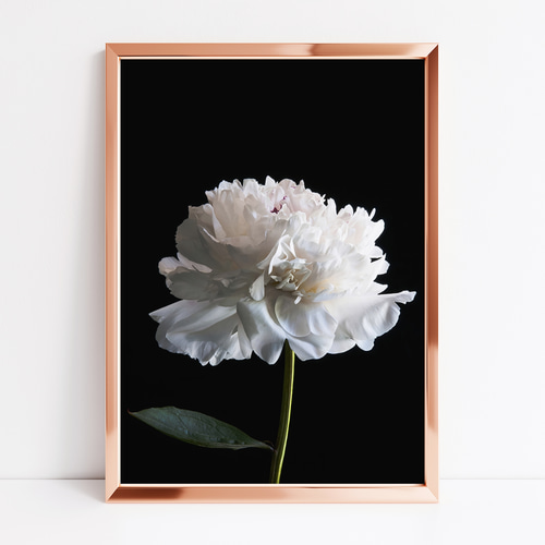 プリントアート ホワイトフラワー 絵画 額付き インテリア 取寄品 キャサリン・ホワイト お気に入りの花屋 Sサイズ 額付き