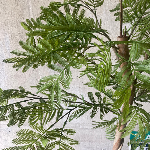 光触媒 人工観葉植物 ウォールグリーン フェイク フラワー ... 光触媒 人工観葉植物 ウォールグリーン フェイクグリーン エバーフレッシュ130