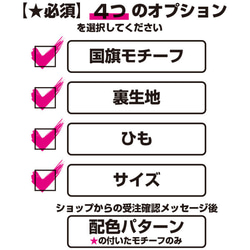 立体×プリーツ ハイブリッドマスク＊ノーズワイヤー＆フィルターポケット付＊長さ調節＊選べる素材★国旗モチーフC 20枚目の画像