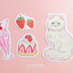 ★SOLD OUT★ kitten & sweets set A 7枚目の画像