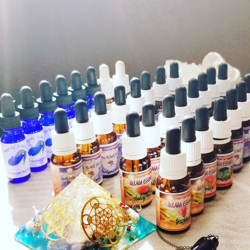 ペガサスプロダクツ お得な100㍉ 脳神経再生 発達障害 認知症