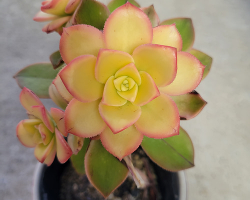 3c7fb9ec960435df63b33b73f4c90b