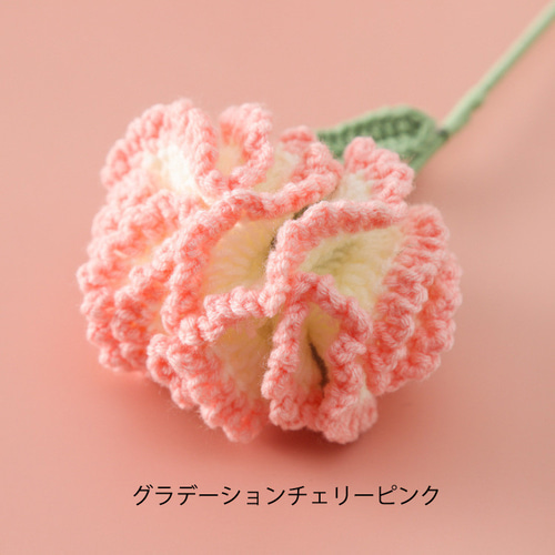 彼女のためのハンドメイドのかぎ針編みの花のカーネーションの家の装飾