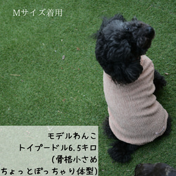 NEWカラー pocopoco sheer dog's wear  ポコポコシアー素材が可愛いわんこ服　 8枚目の画像