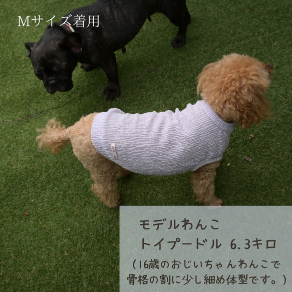 NEWカラー pocopoco sheer dog's wear  ポコポコシアー素材が可愛いわんこ服　 9枚目の画像